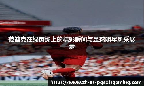 范迪克在绿茵场上的精彩瞬间与足球明星风采展示